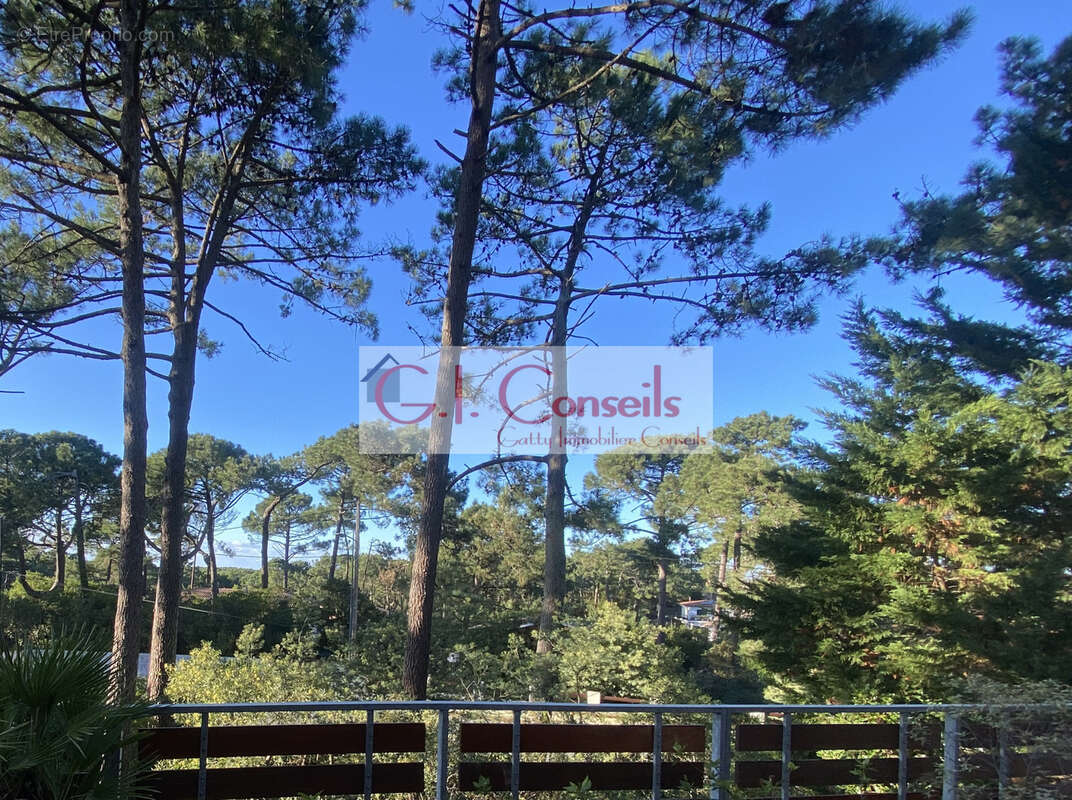 Vue BASSIN, Villa à rénover sur vaste jardin arboré - photo 4