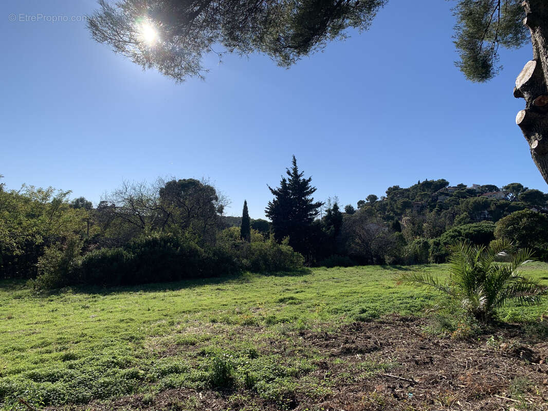 Terrain à LE PRADET