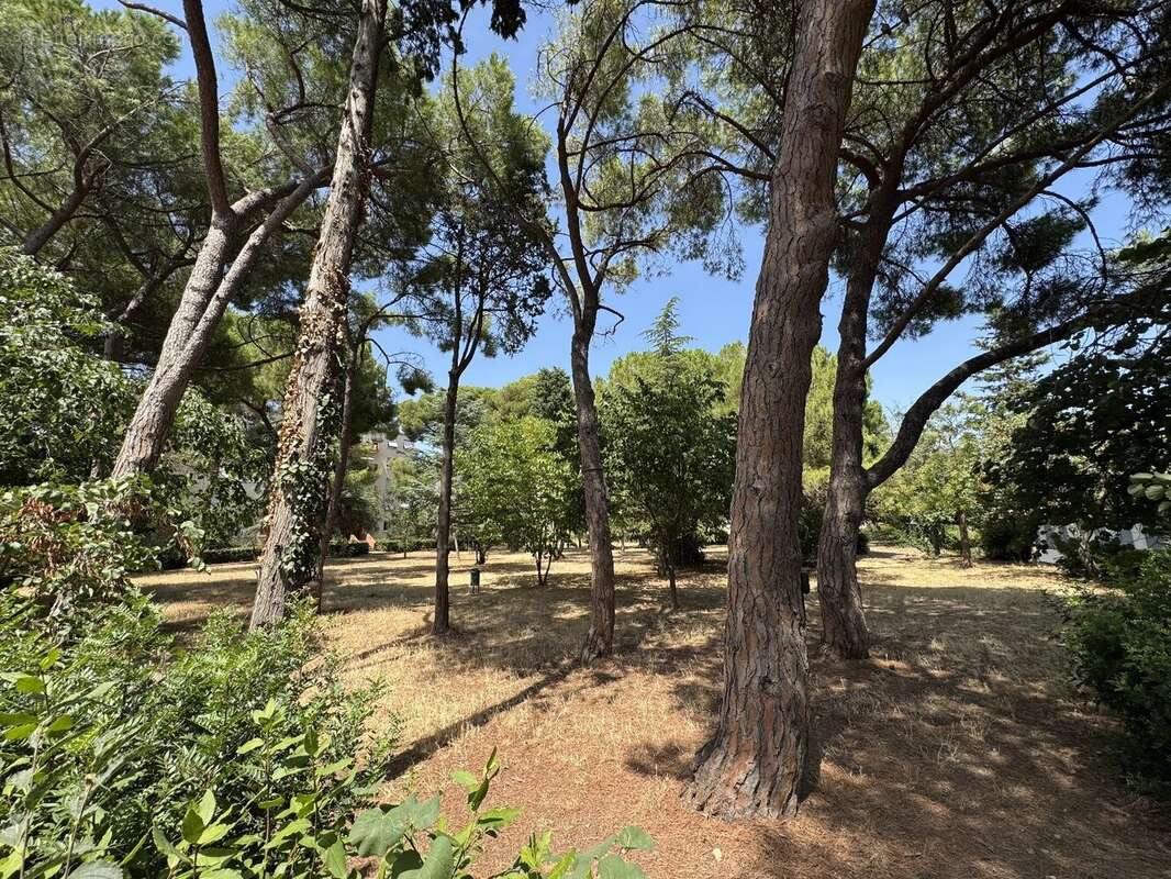 Sete t5 a vendre au milieu d'un parc - photo 3