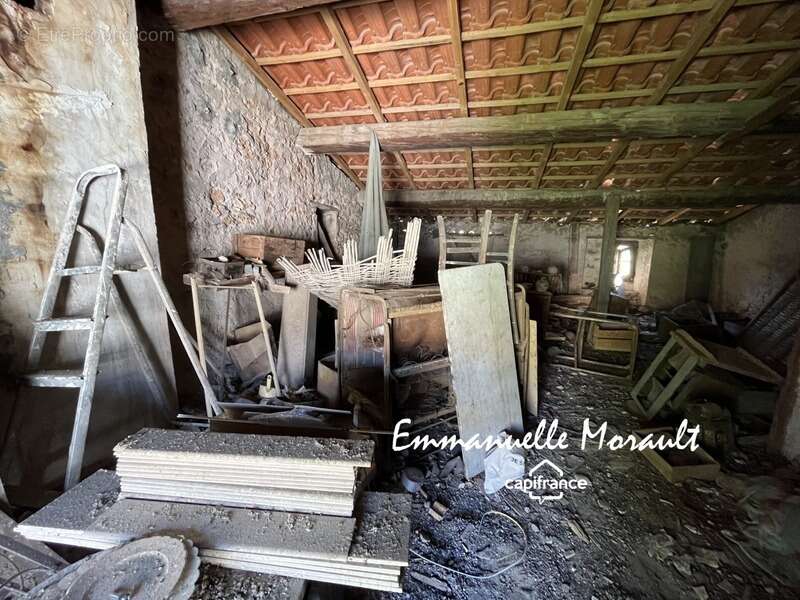 Commerce à BAGNOLS-EN-FORET