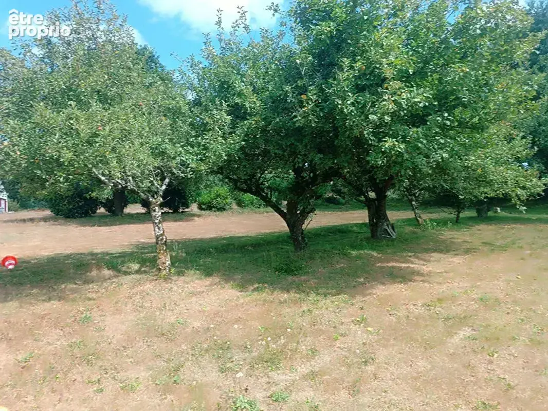 Maison en pierre à personnaliser, 6 500 m² pour vos projets - photo 15
