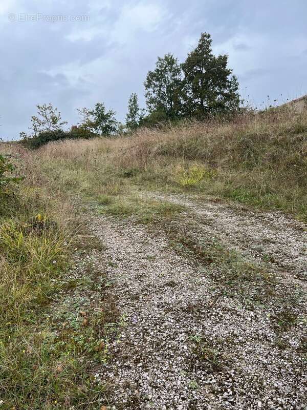 Terrain à CASTELNAU-DE-MONTMIRAL