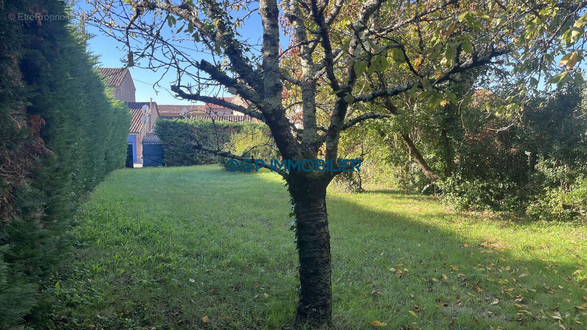 Terrain à VILLEBRUMIER