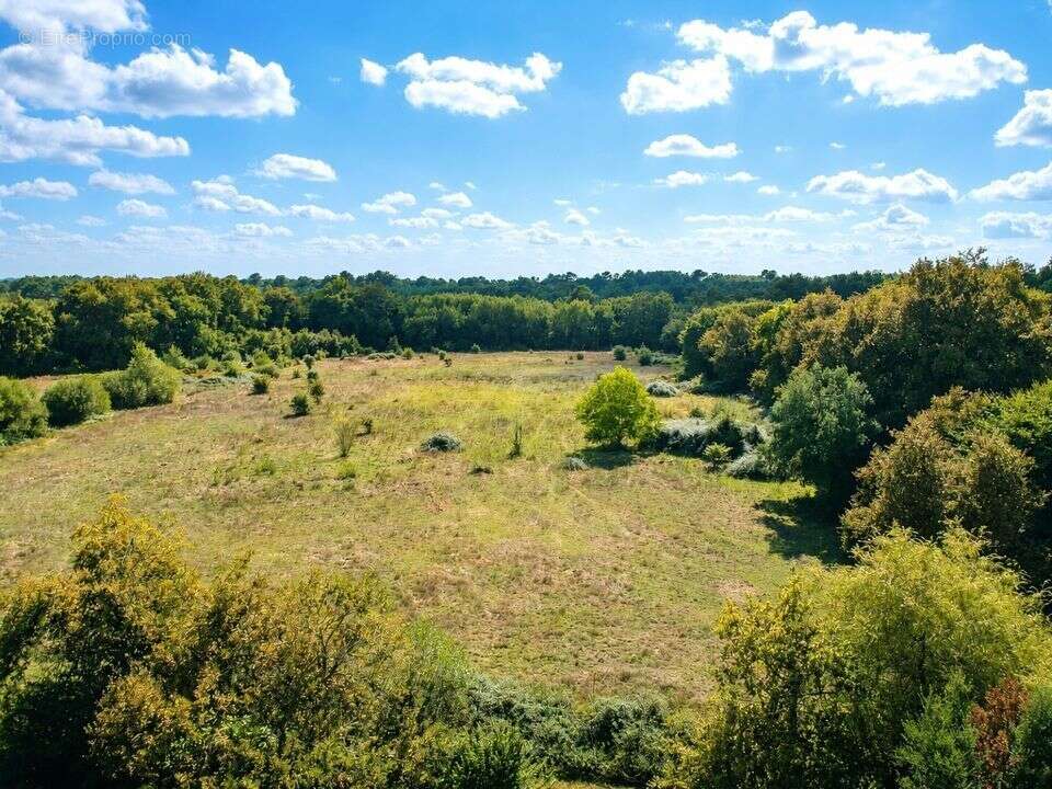 Maison 280 m² à Gabarret  - photo 46