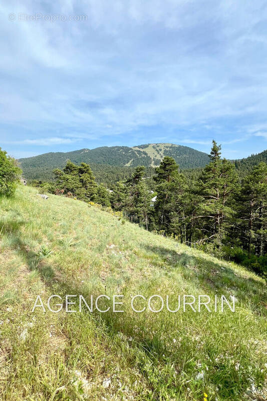 Terrain à CAILLE