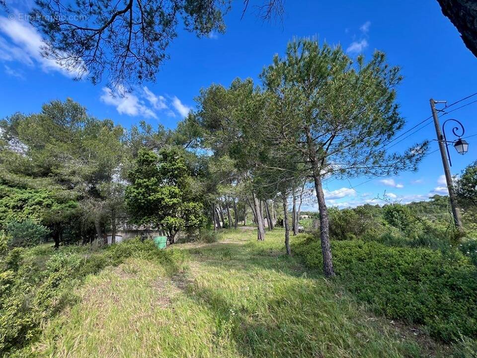 Terrain à GUZARGUES