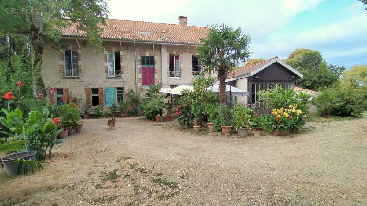 Manoir proche Moissac,Sur le Chemin de St Jacques de Compostelle - photo 15