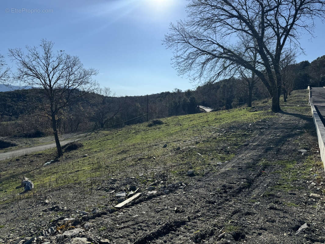 Terrain à CORTE