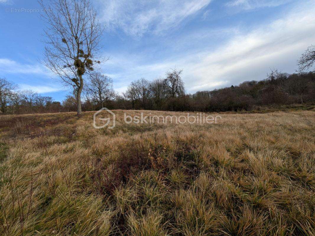 Terrain à Champillon - photo 2