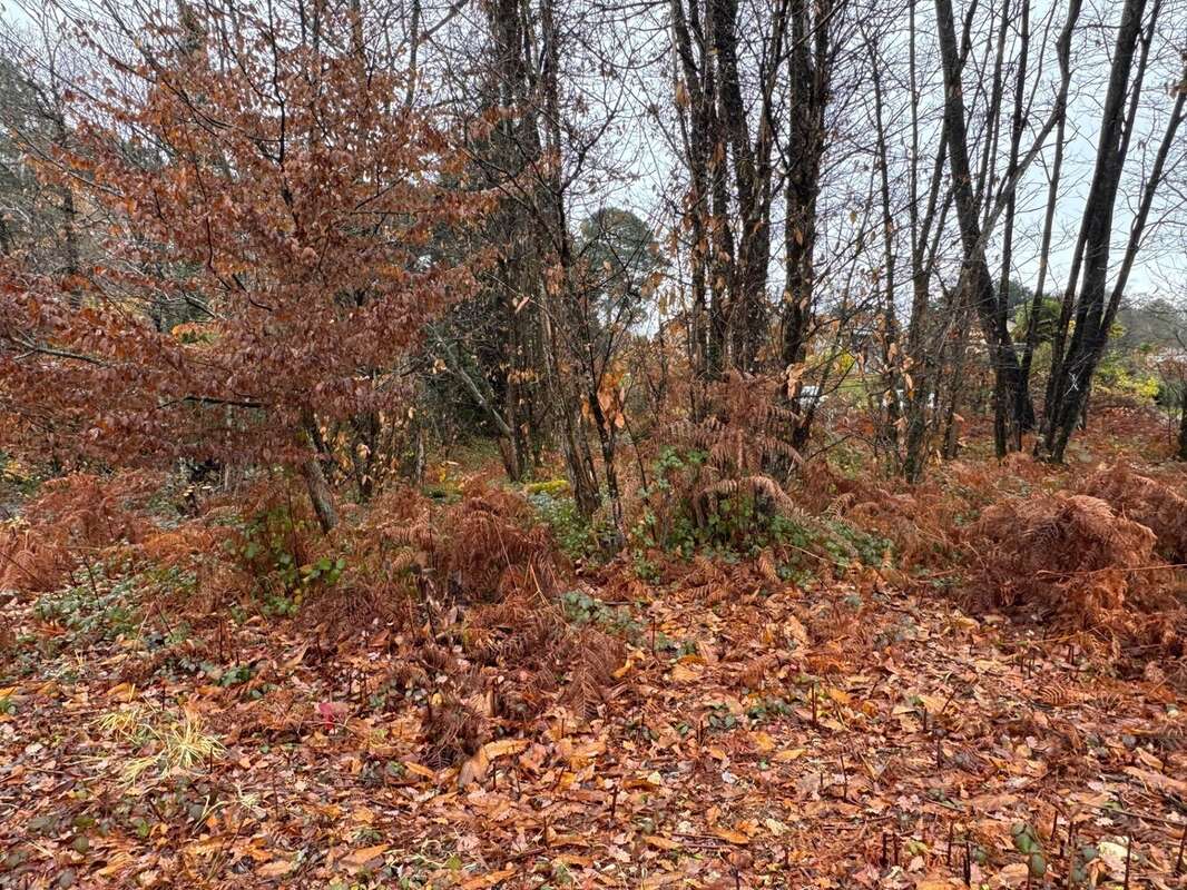 Terrain à CHANCELADE