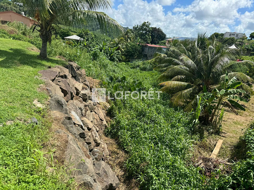 Terrain à LE LAMENTIN
