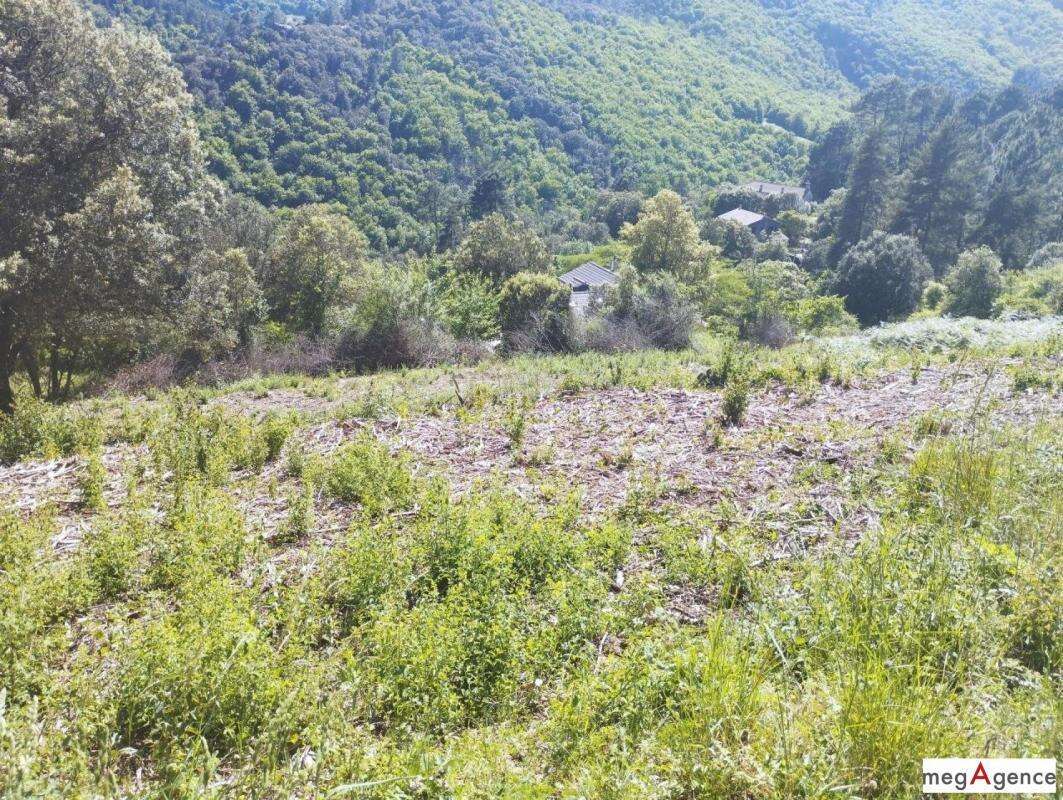 Terrain à SAINTE-CROIX-VALLEE-FRANCAISE