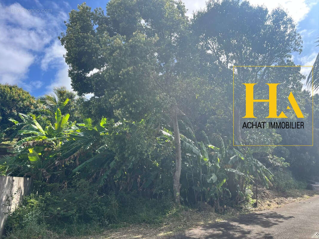 Terrain à SAINT-JOSEPH