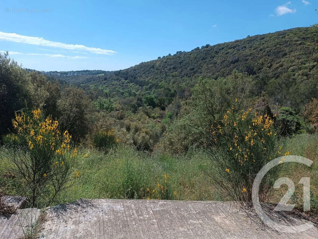 Terrain à BIOT