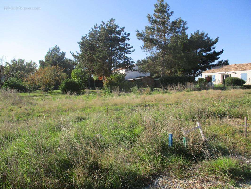 Terrain à BREM-SUR-MER