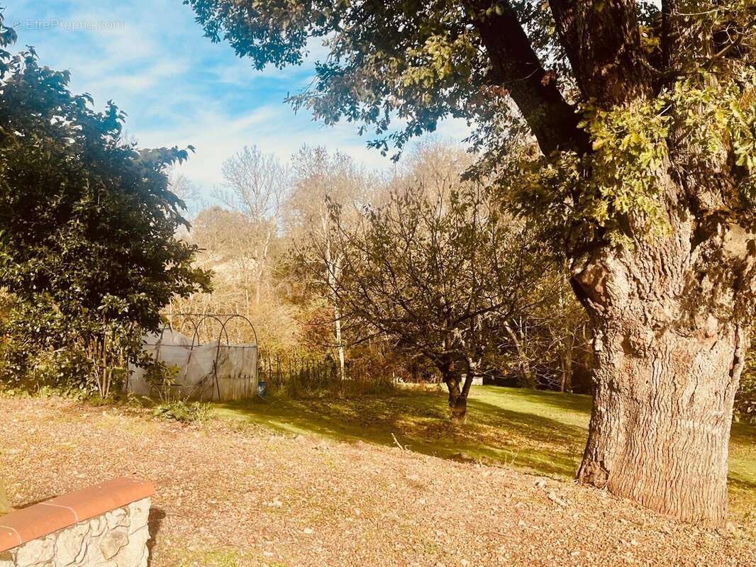 Photo 9 - Maison à SAINT-JULIEN-DU-PUY