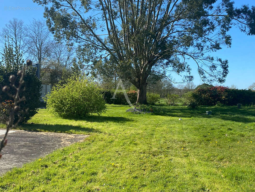 Terrain à SAINT-ETIENNE-DE-MER-MORTE