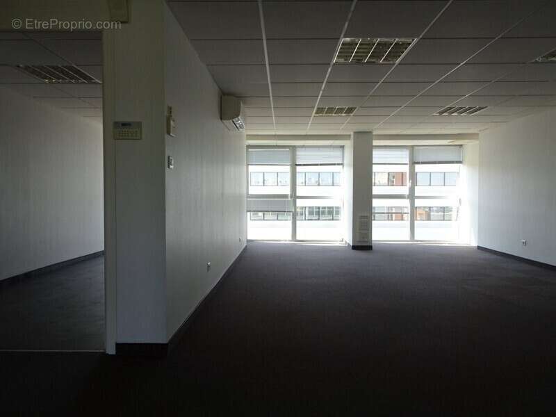 Commerce à COLOMIERS