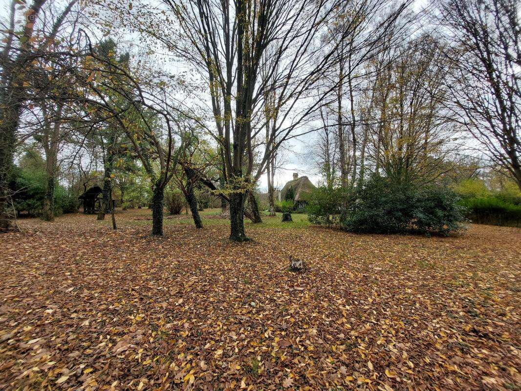 Maison à LE NOYER-EN-OUCHE