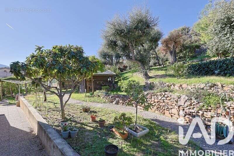 Photo 3 - Maison à MANDELIEU-LA-NAPOULE