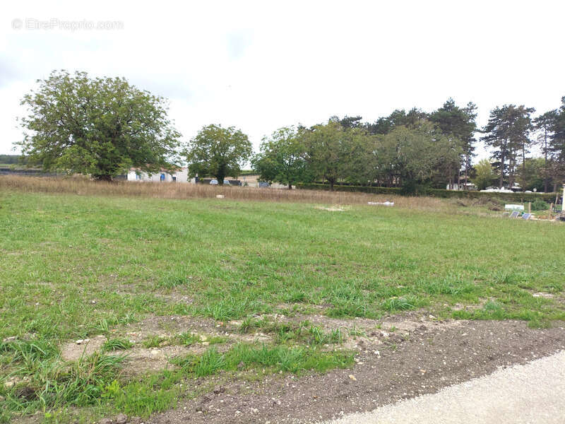À vendre terrain à bâtir 1 111 m² CELLES (17520) - photo 2