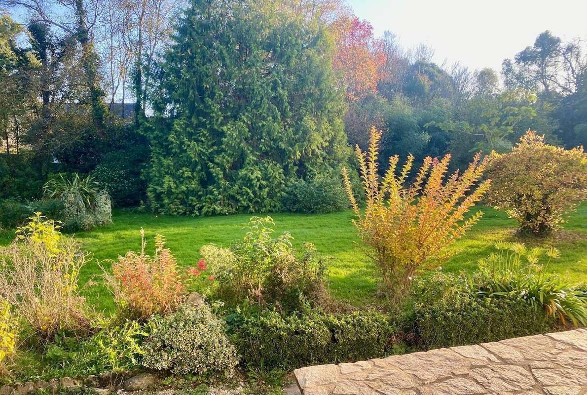 Photo 2 - Maison à MOELAN-SUR-MER