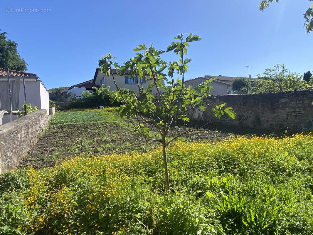 Appartement à ROCHE-LA-MOLIERE