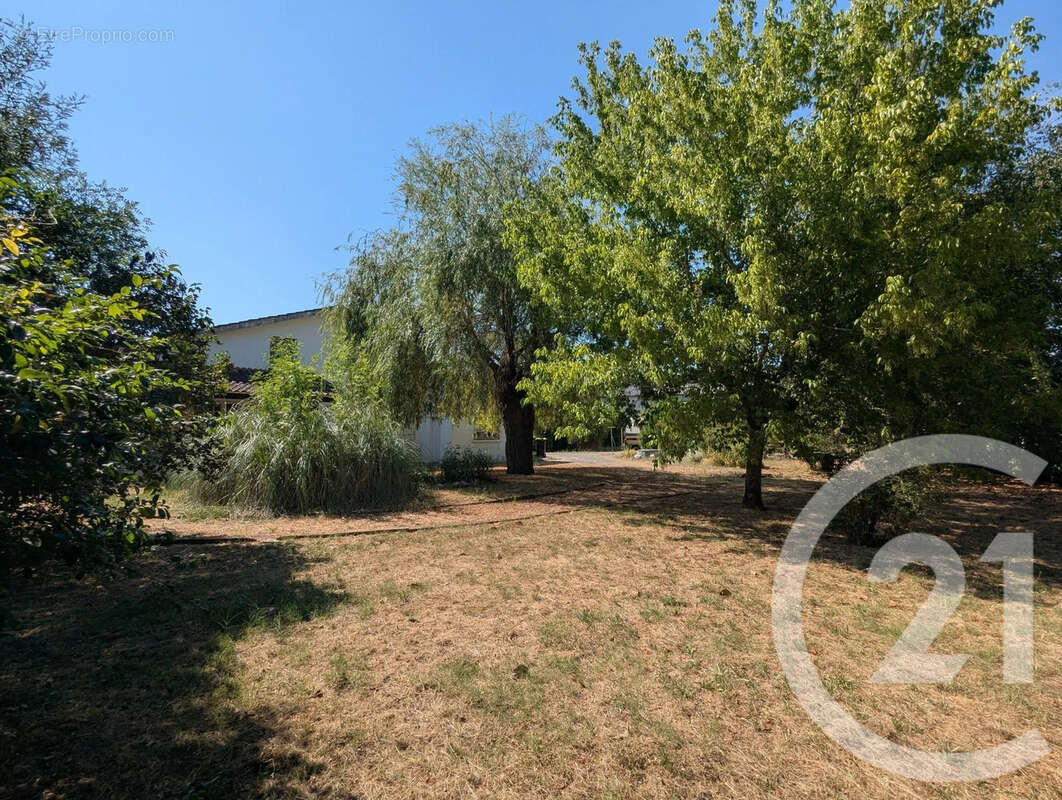 Maison 157 m² à Gaillac  - photo 3