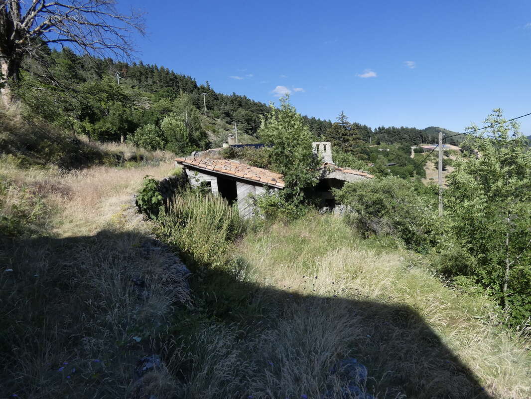 Belle et grande maison en pierre du 19 eme siècle à MEZILHAC (07 - photo 6