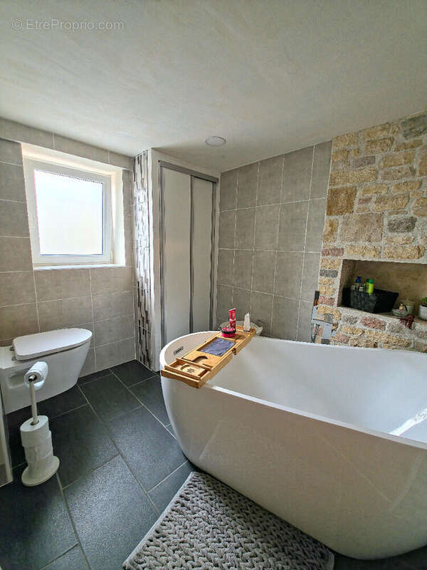 Maison à SAINT-ALBAN-DE-ROCHE