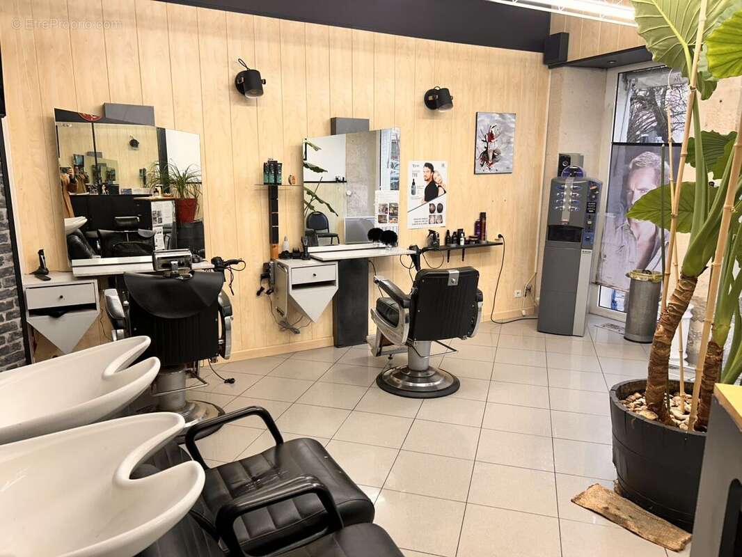 salon bis - Commerce à CAHORS