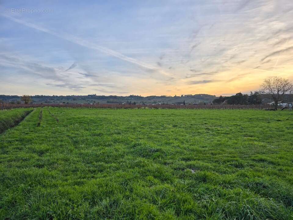 Terrain à SAINT-LAURENT-DES-VIGNES
