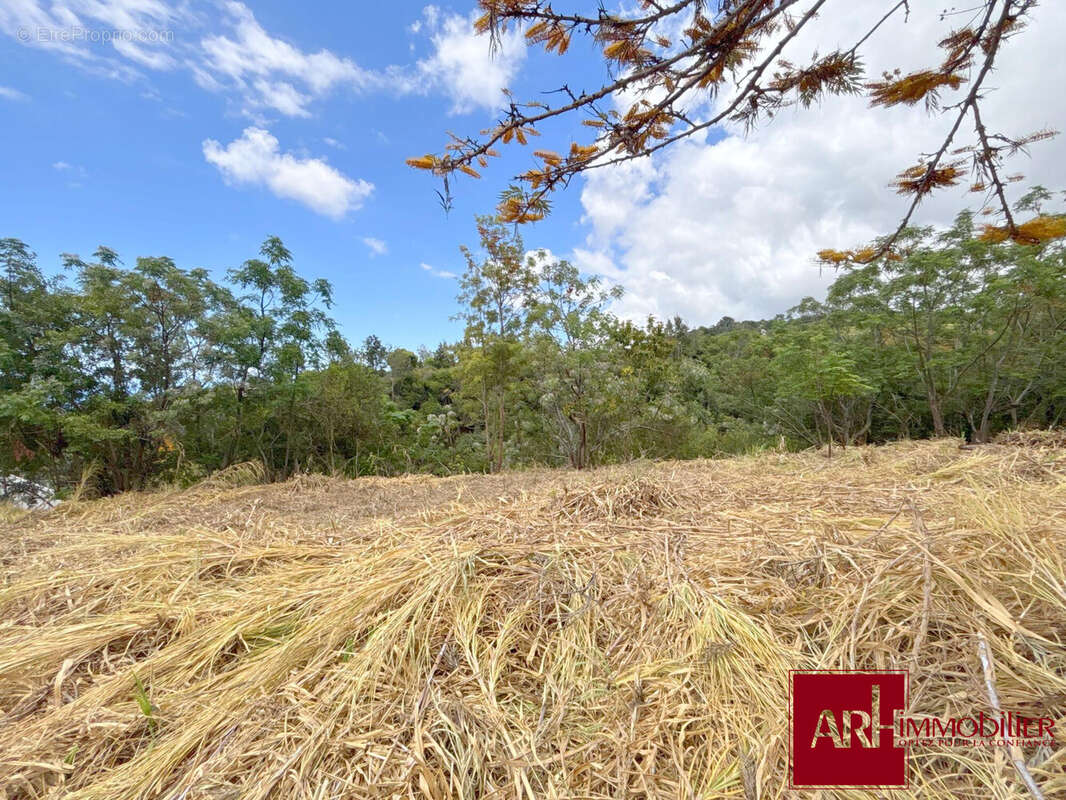 Terrain à SAINT-PAUL