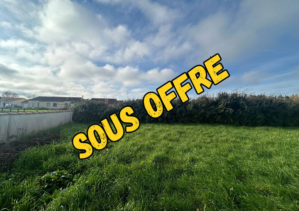 Terrain à SAINT-MICHEL-EN-L'HERM