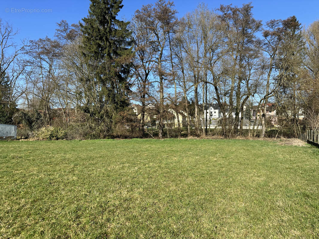 Terrain à WENTZWILLER