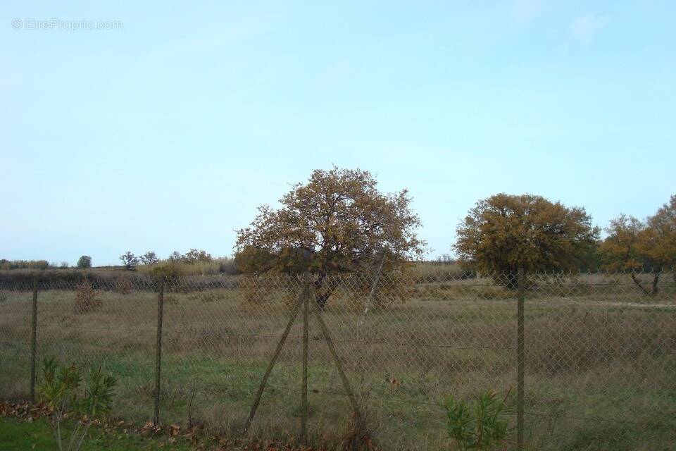 Terrain à VILLEMOLAQUE