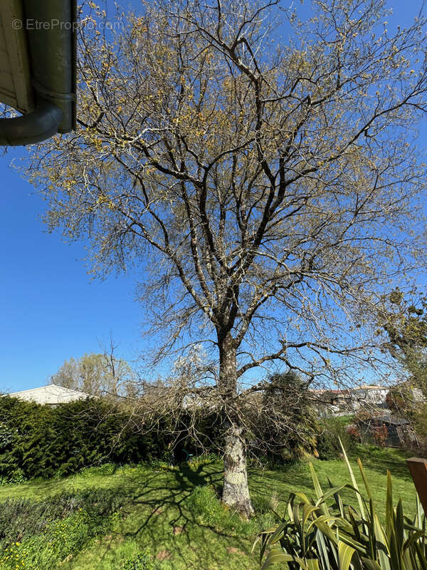 Maison à SAINT-ANDRE-DE-LIDON