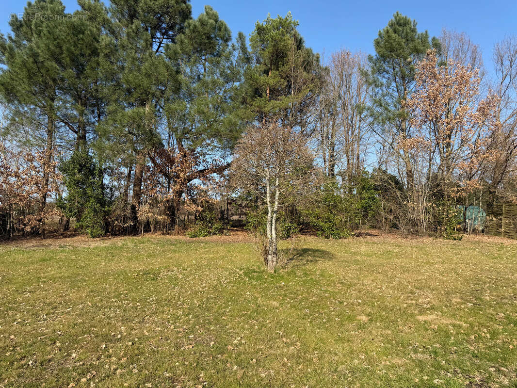 Maison à PRIGONRIEUX