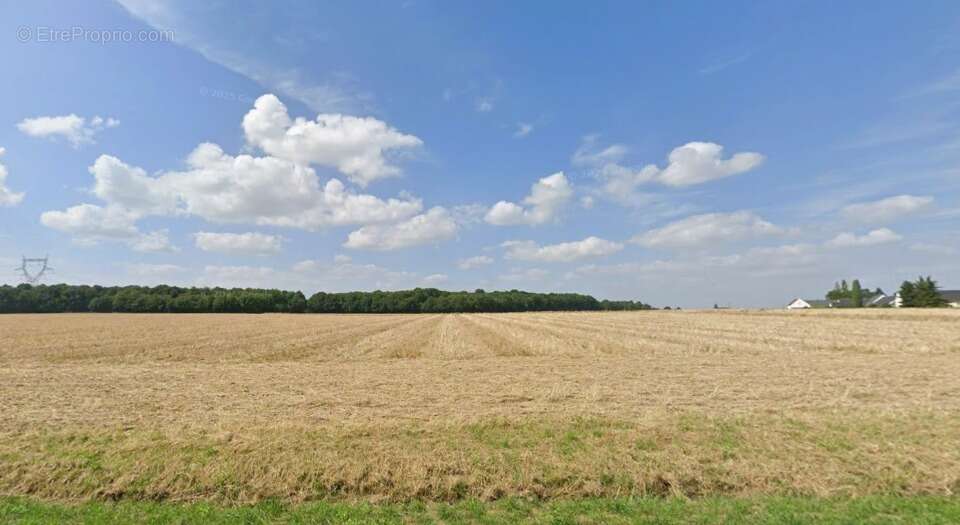 Terrain à SAINT-PATERNE-RACAN