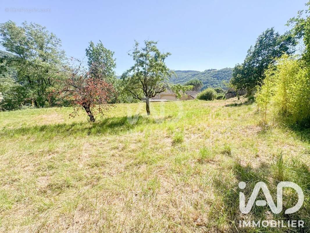 Terrain 12143 m² à Saint-Affrique  - photo 9