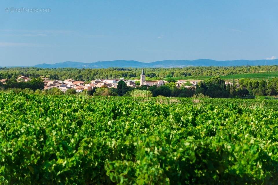 Terrain à PINET