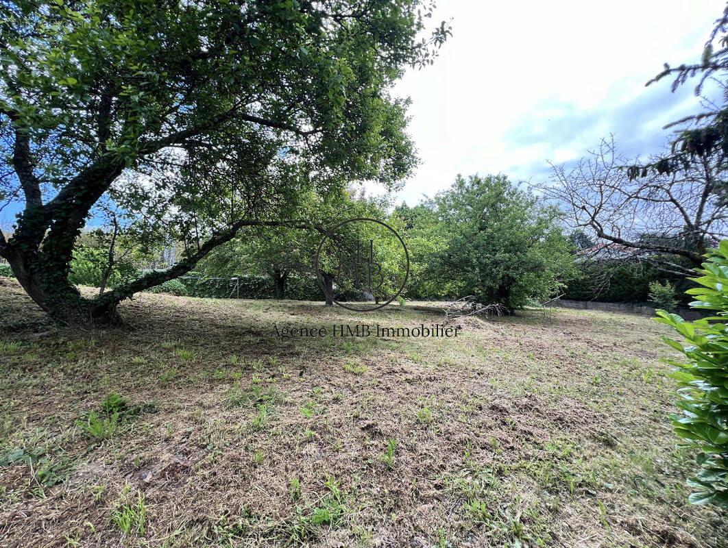 Terrain à COLLONGES-AU-MONT-D'OR