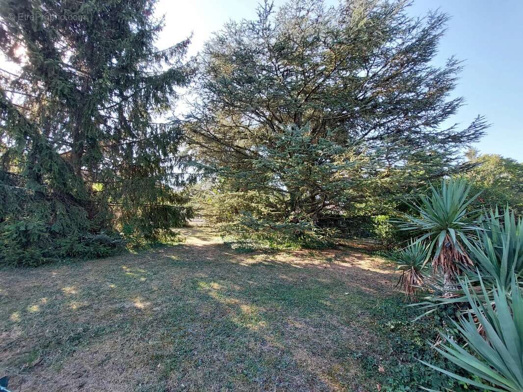 Terrain à SAINT-BONNET-DE-MURE