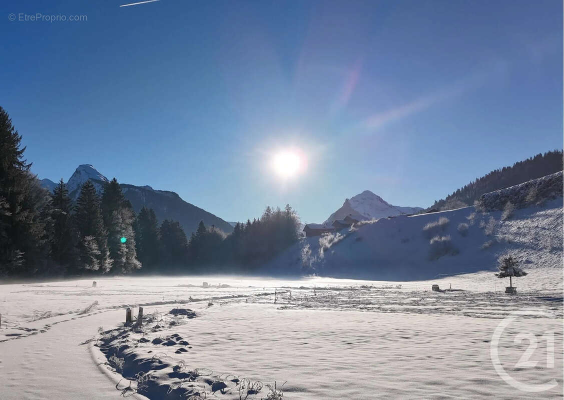 Terrain à MONTRIOND