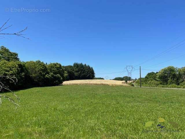 Maison à SAINT-SALVADOUR