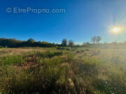 Terrain à LA CHAPELLE-AUBAREIL