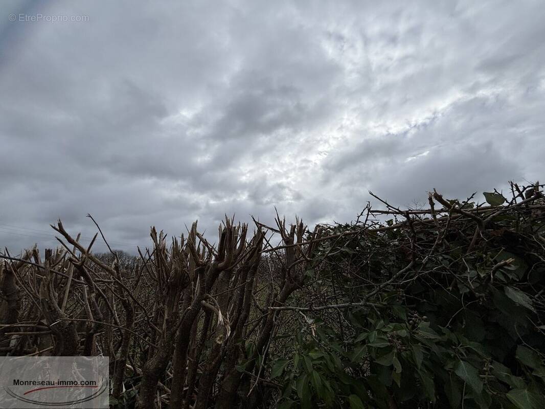 Terrain à LE QUESNOY