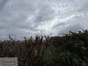 Terrain à LE QUESNOY