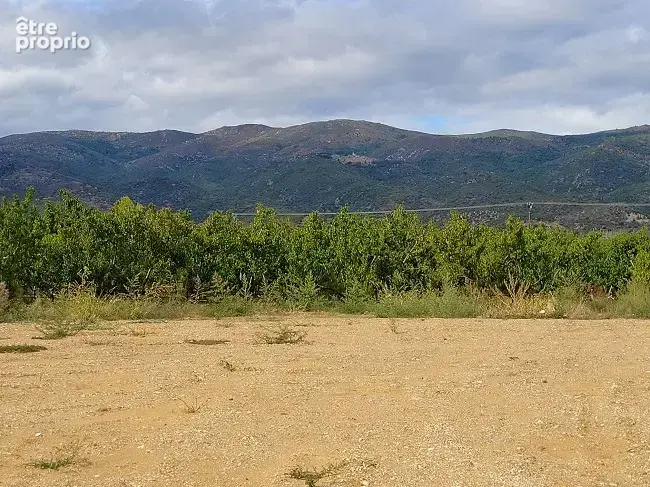 Terrain à LOS MASOS