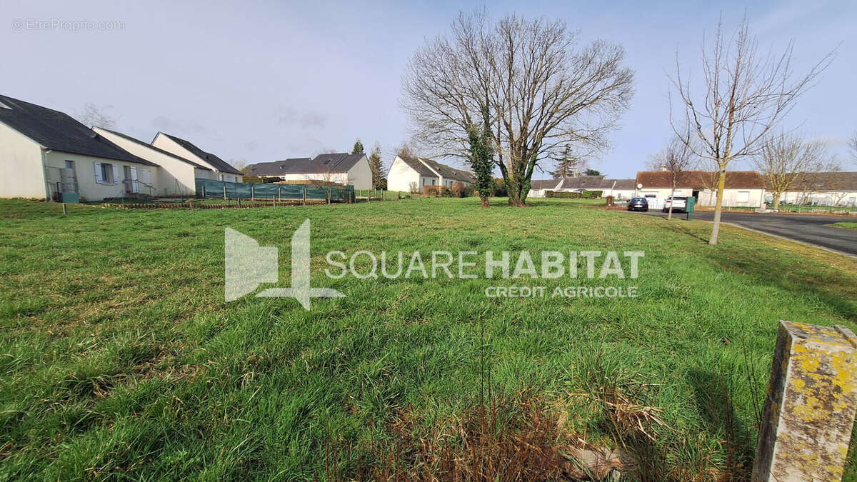 Terrain à RICHELIEU